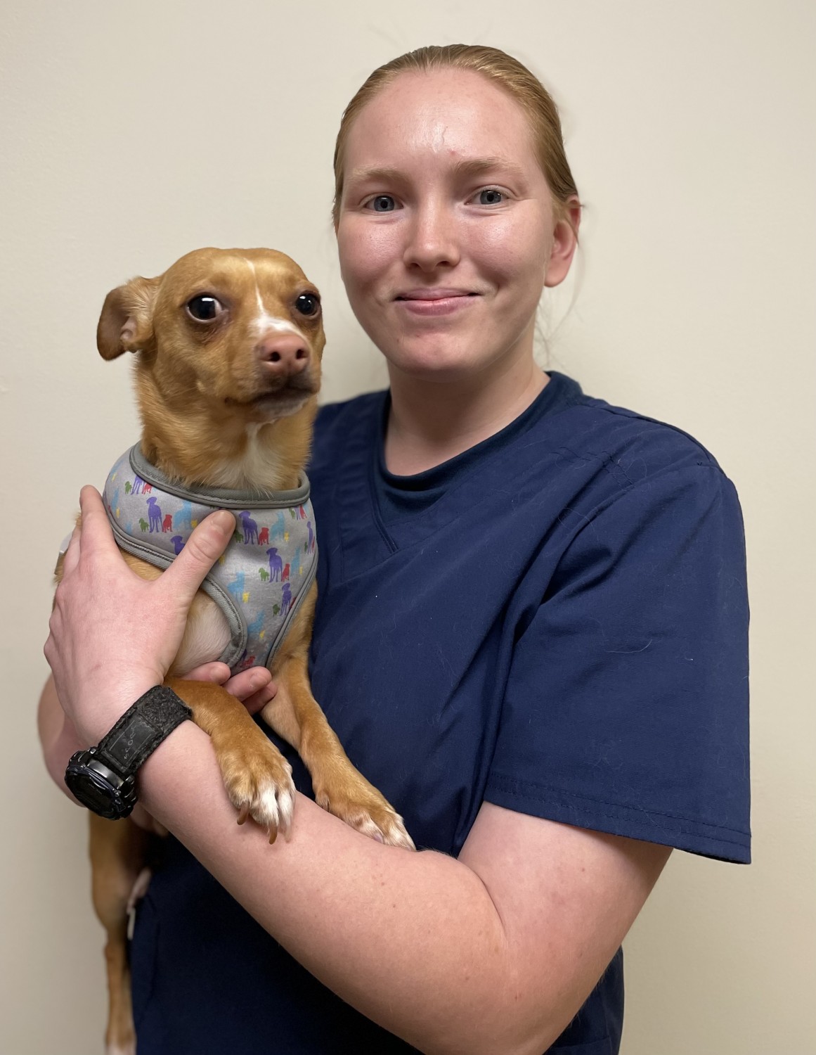 Ashley Wentz - Veterinary Assistant